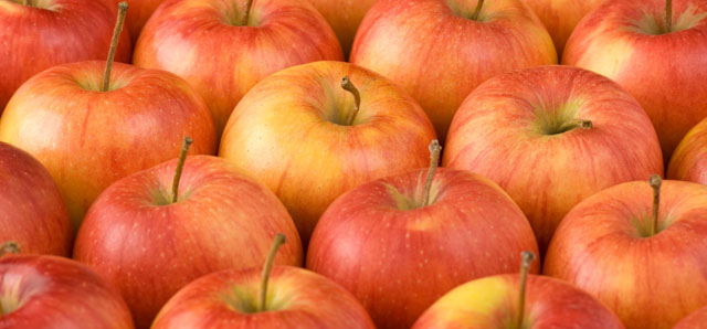 طبقه بندی JEL