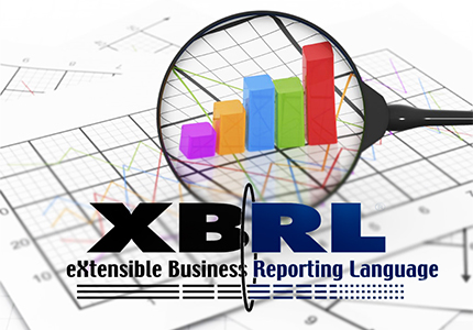 راهنمای استفاده از زبان XBRL